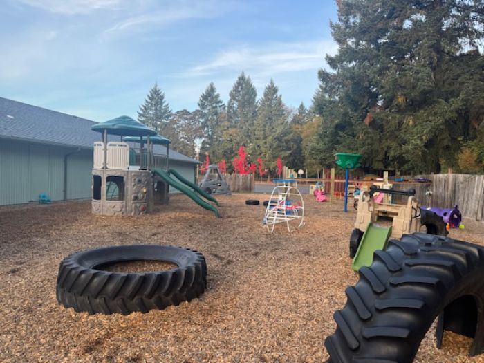 Preschool boy playing with train